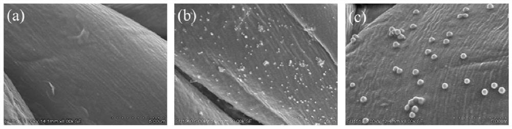 Compound water repellent containing tertiary amine polymer brush grafted nano silicon dioxide