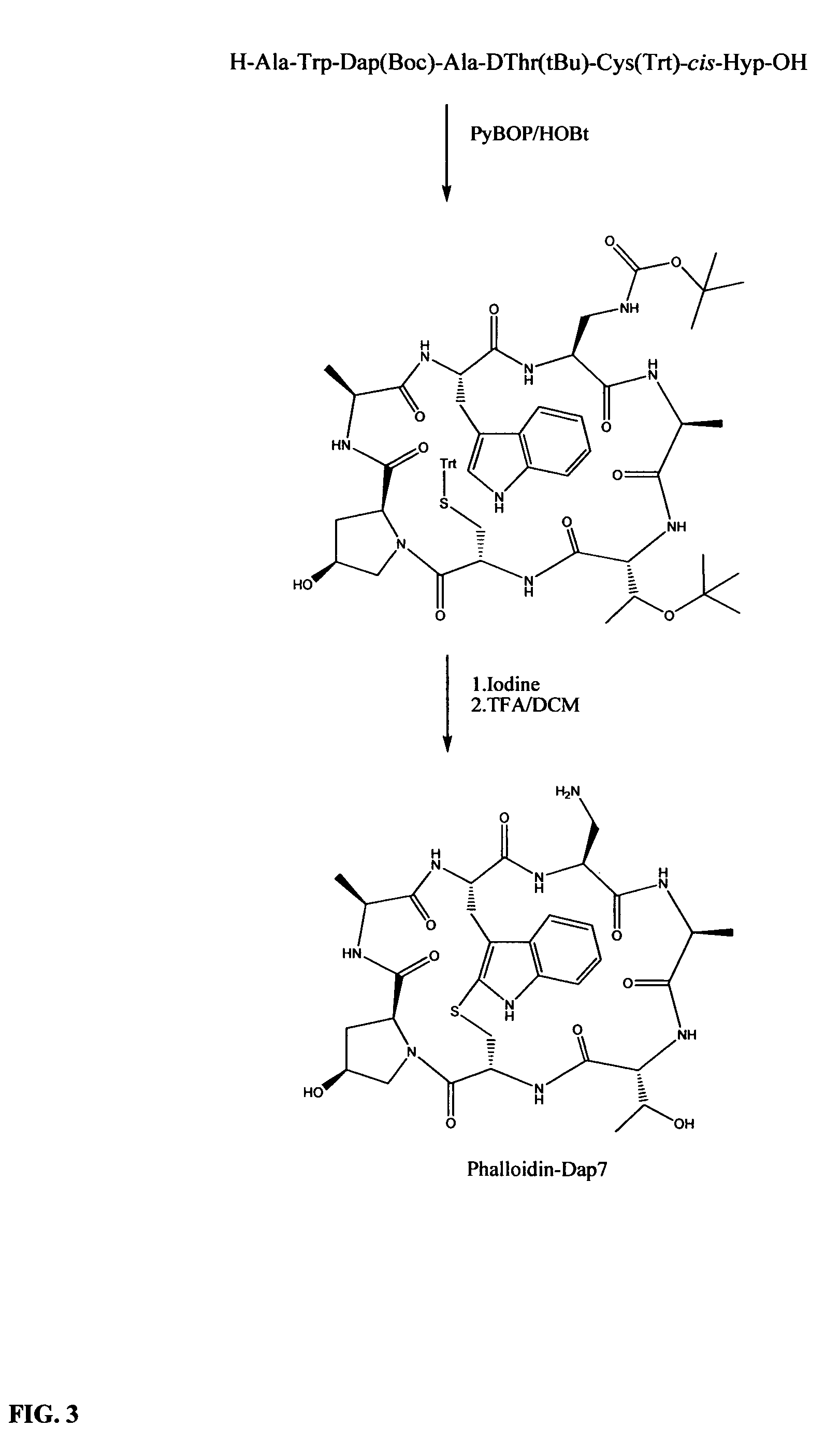 Preparation of phalloidin and its derivatives