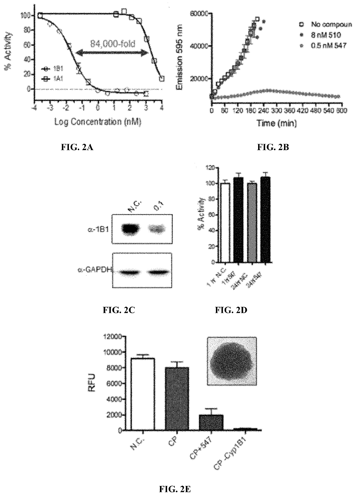 Potent and selective inhibitors of cytochrome p450