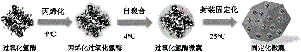 Preparation method of compound biomimetic mineralization nano biocatalyst
