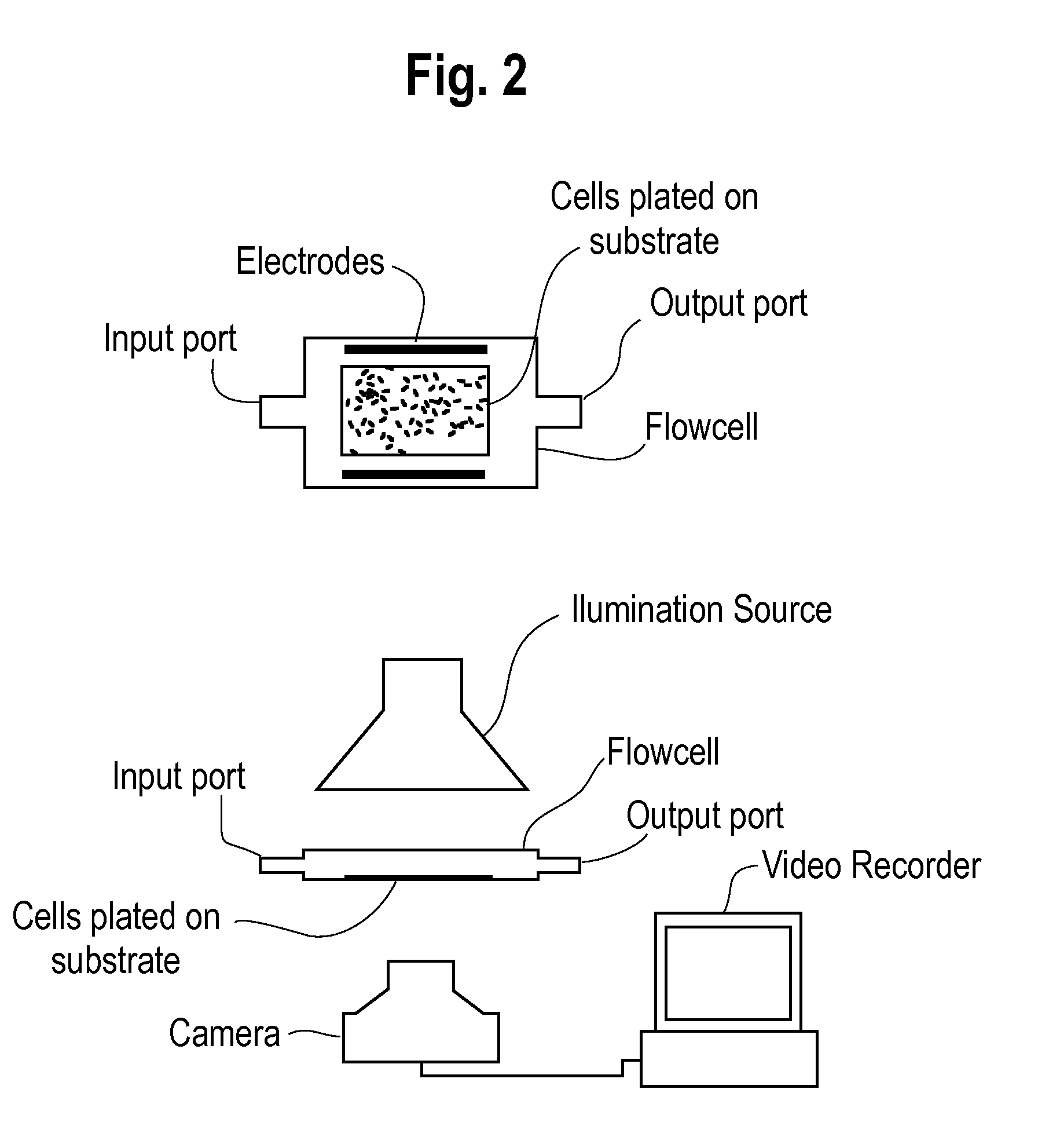 High throughput, optical method and system for determining the effect of a test substance on non-contiguous living cells