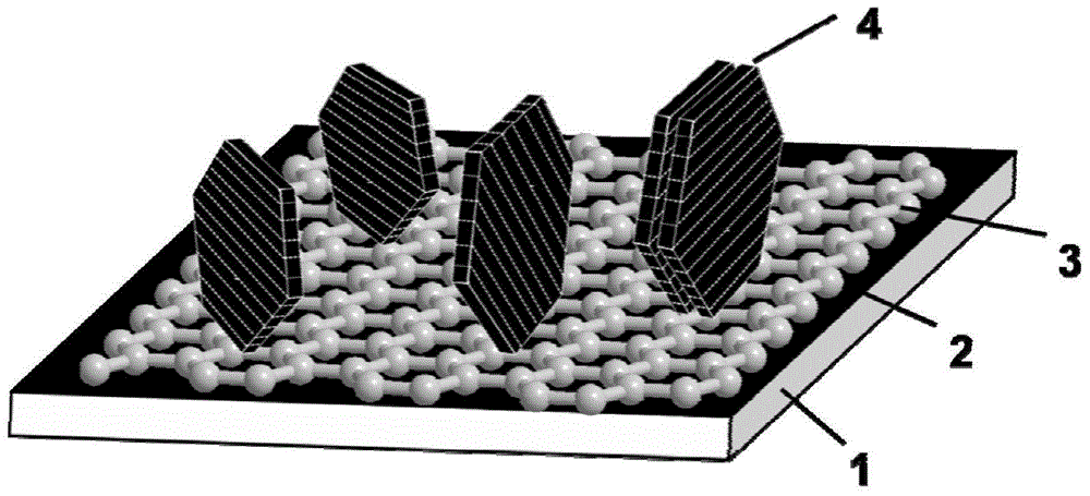 Titanium disulfide nano sheet/graphene composite material counter electrode and preparation method thereof