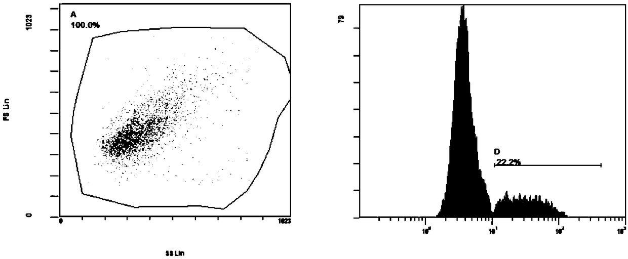 Nucleic acid for treating HCC (Hepatocellular Carcinoma), preparation method thereof, CAR-T (Chimeric Antigen Receptor T) cell having nucleic acid and preparation method of CAR-T cell