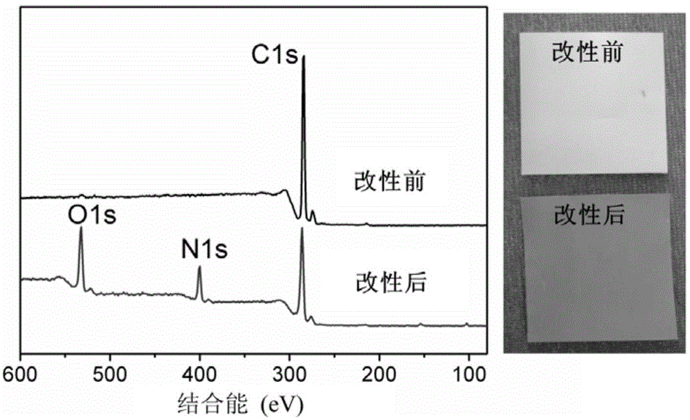 Surface Modification Method of Hydrophobic Polymer Microporous Membrane