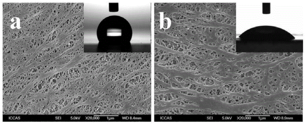 Surface Modification Method of Hydrophobic Polymer Microporous Membrane