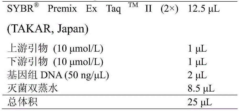 Method of detecting copy number variation of Qinchuan cattle FGF13 genes and application thereof