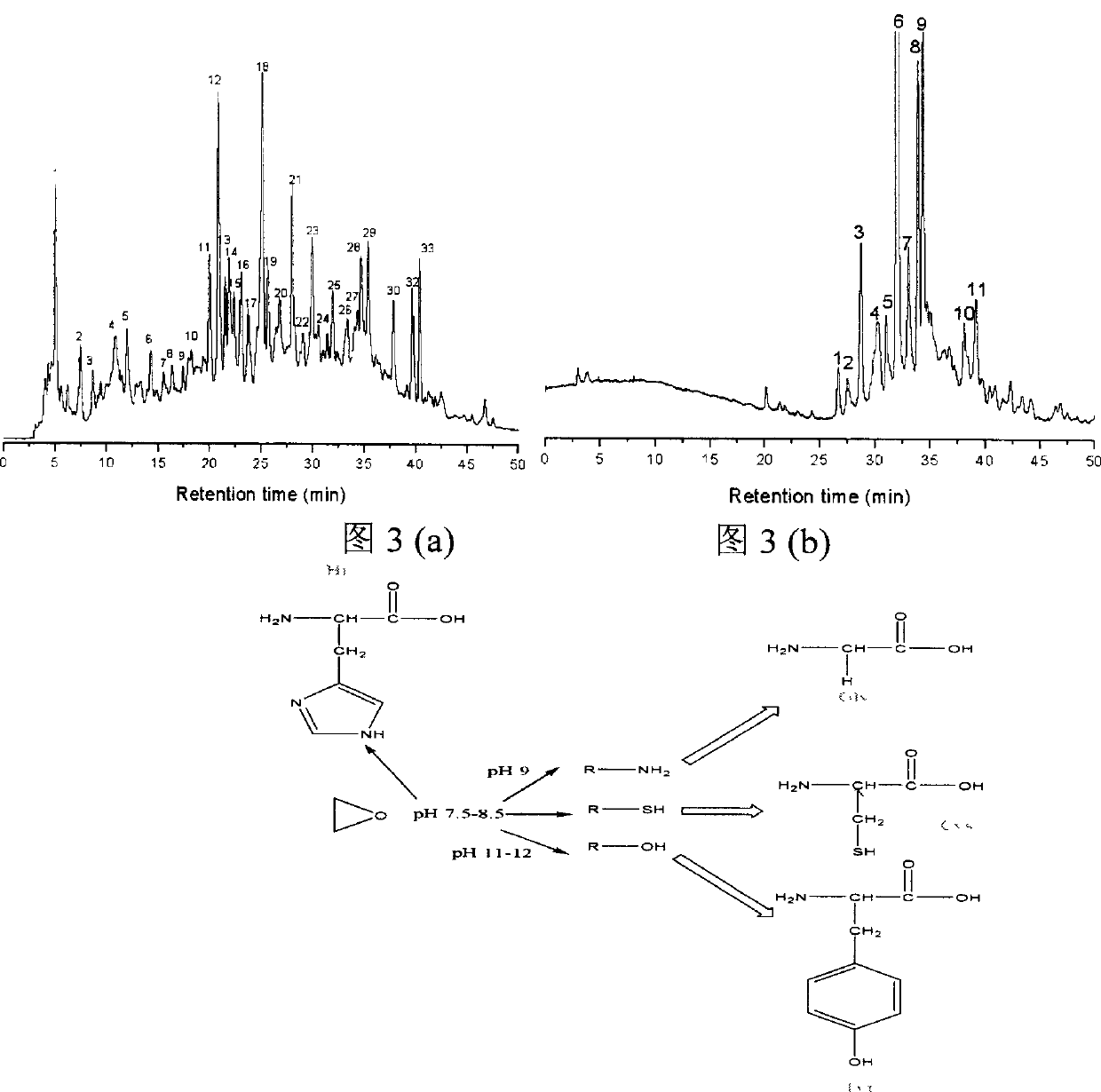 Use of BODIPY analog fluorescent reagent in biological large molecule marking