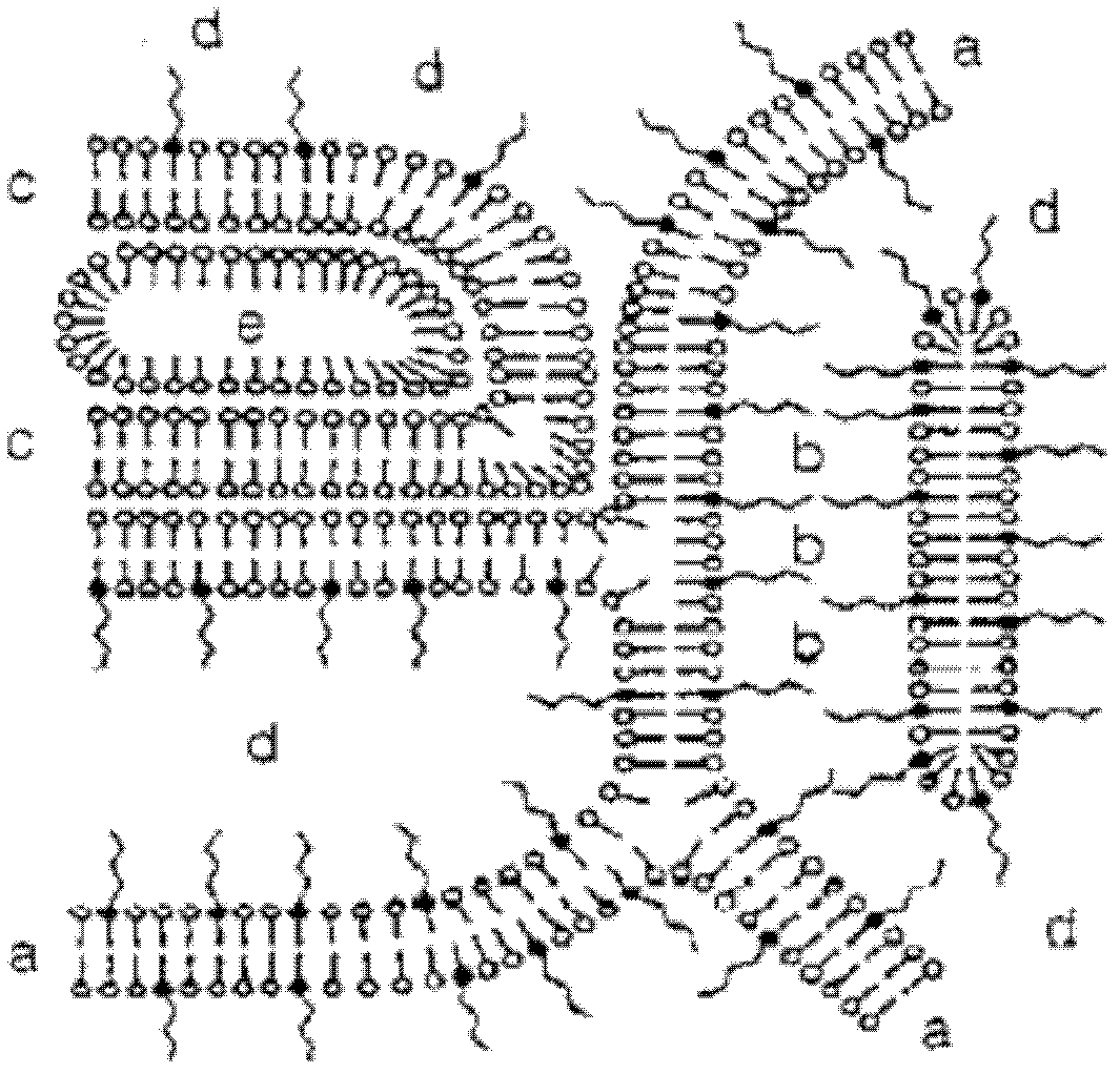 Cubic water quality liquid crystal gel transdermic absorption preparation containing oxybutynin chloride and preparing method thereof