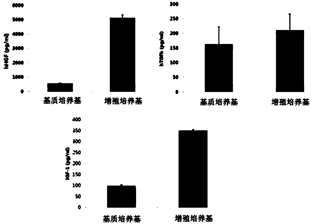 Autologous and homogeneous adipose-derived mesenchymal stem cell composition for curing tendon or ligament injury and preparation method thereof