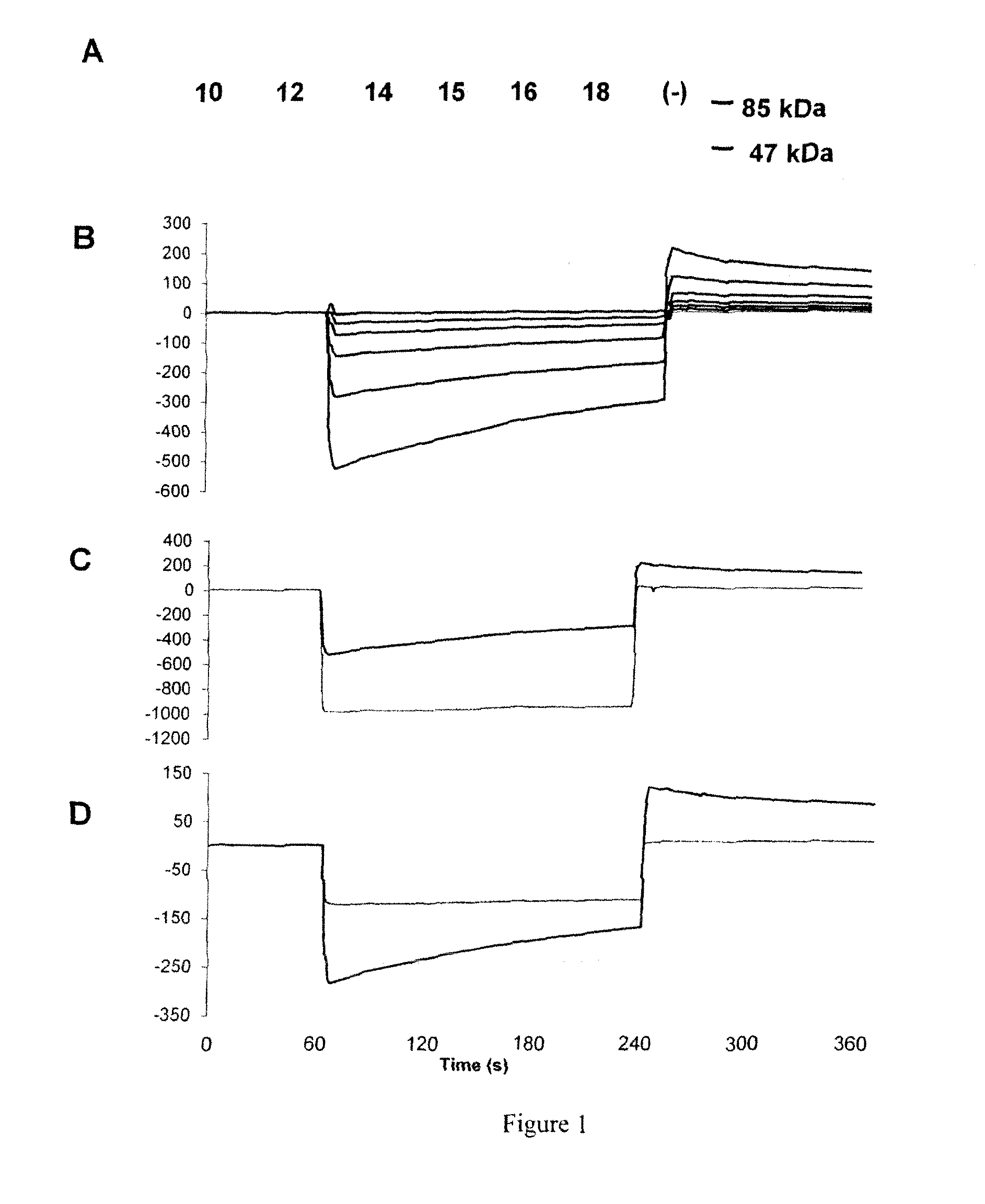 Polypeptides, Cyclic Polypeptides and Pharmaceutical Comprising Thereof for Non Invasive Specific Imaging of Fibrosis