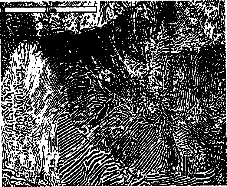 Non-tempered superhigh carbon steel production