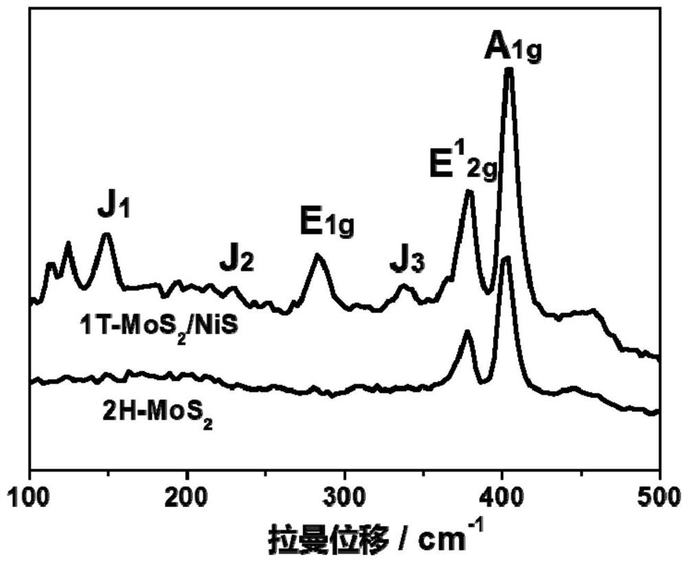 1T-MoS2/NiS heterogeneous interface structure catalyst for electro-catalytic hydrogen evolution as well as preparation method and application of 1T-MoS2/NiS heterogeneous interface structure catalyst