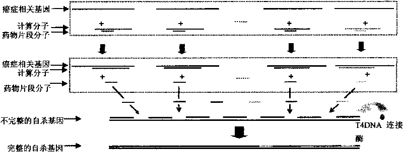 Automatic synthesis anti-cancer drug preparation method based on microfluidic chip