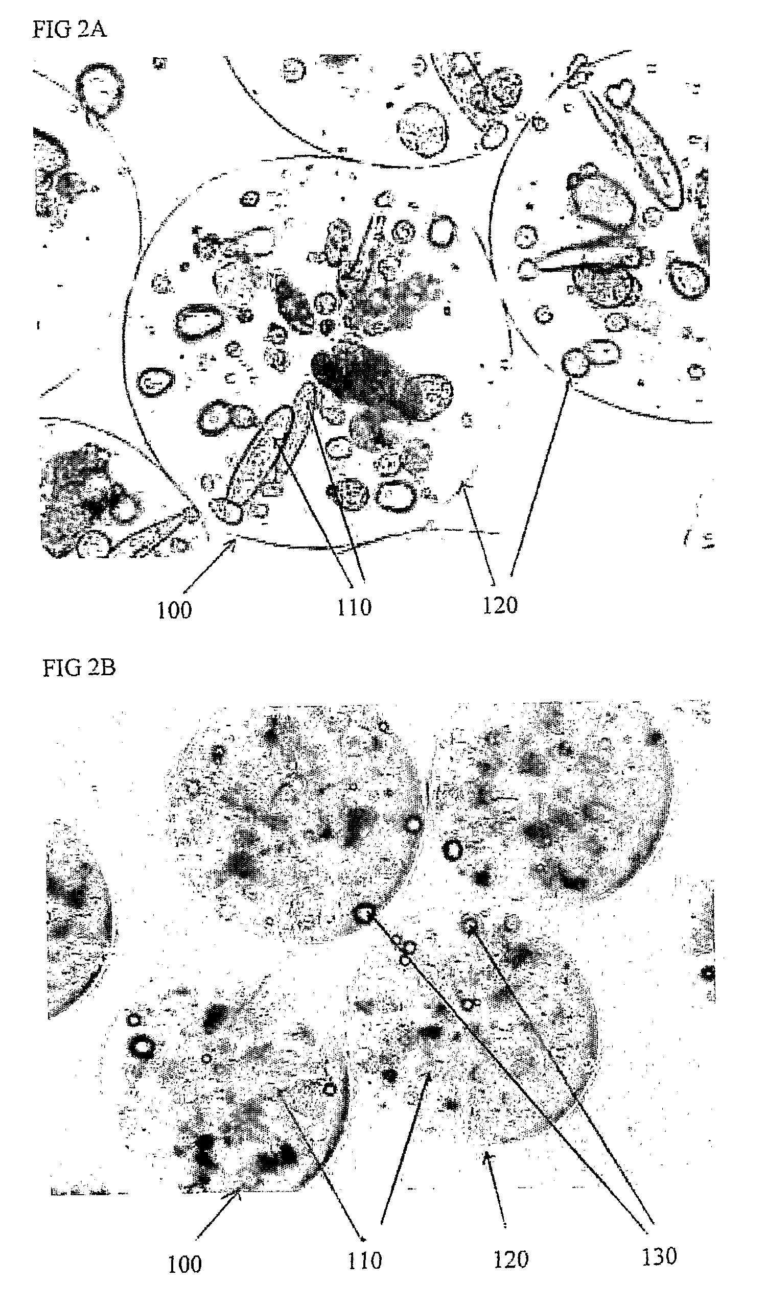 Multi-functional chamber for housing a biological component