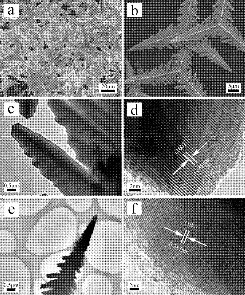 Tellurium semiconductor micro-nanometer crystal and preparation method