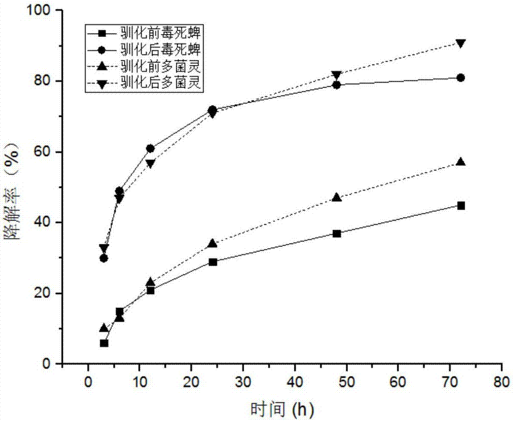 Lysinibacillus fusiformis strain and enzyme preparation, and application of same to degradation of pesticide residues