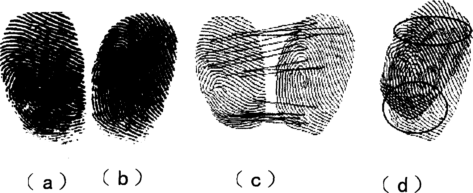 Deformed fingerprint identification method based on local triangle structure characteristic collection