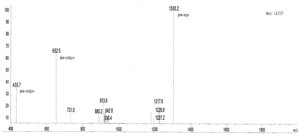 Fungus-derived cyclic peptidomimetic as well as preparation method and application thereof