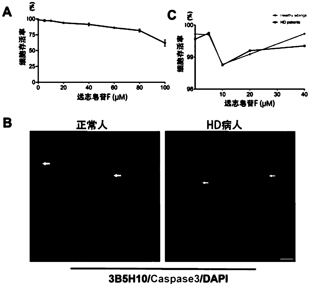 Application of onjisaponin F in preparation of drug for preventing and treating huntington disease