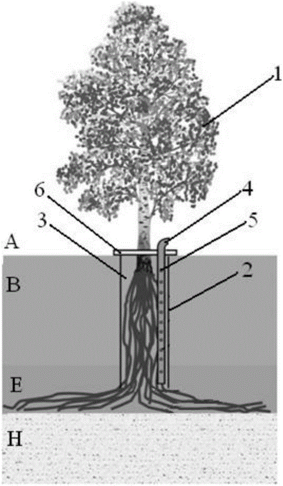 Phytoremediation method for underground soil pollution