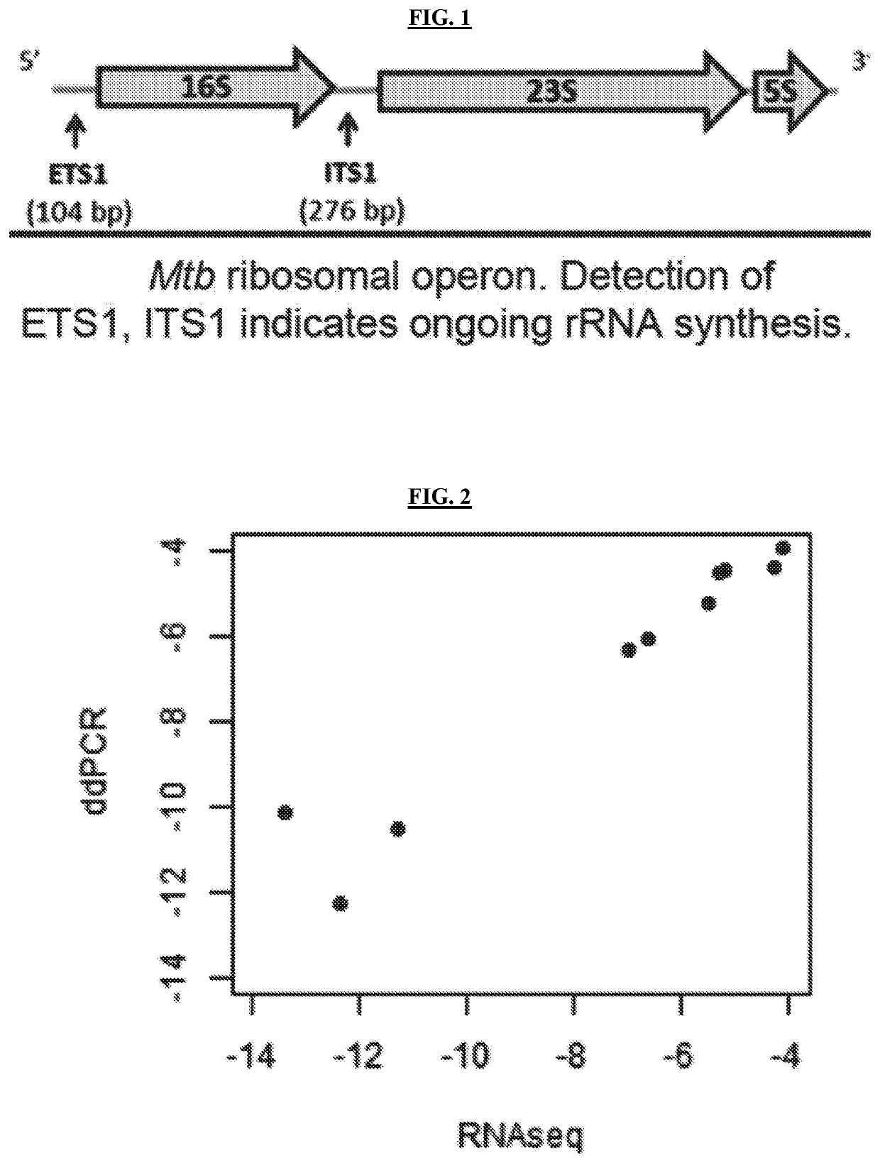 Methods of Evaluating Treatment Efficacy and/or Treatment Duration in Mycobacterial Diseases