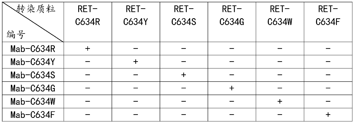 Preparation method of anti-RET mutant protein monoclonal antibody variable region sequence