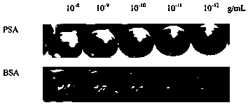 Visual inspection method for PSA