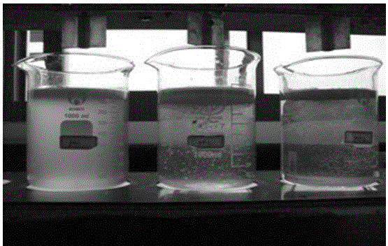 A flocculant for purifying landscape water and its preparation method