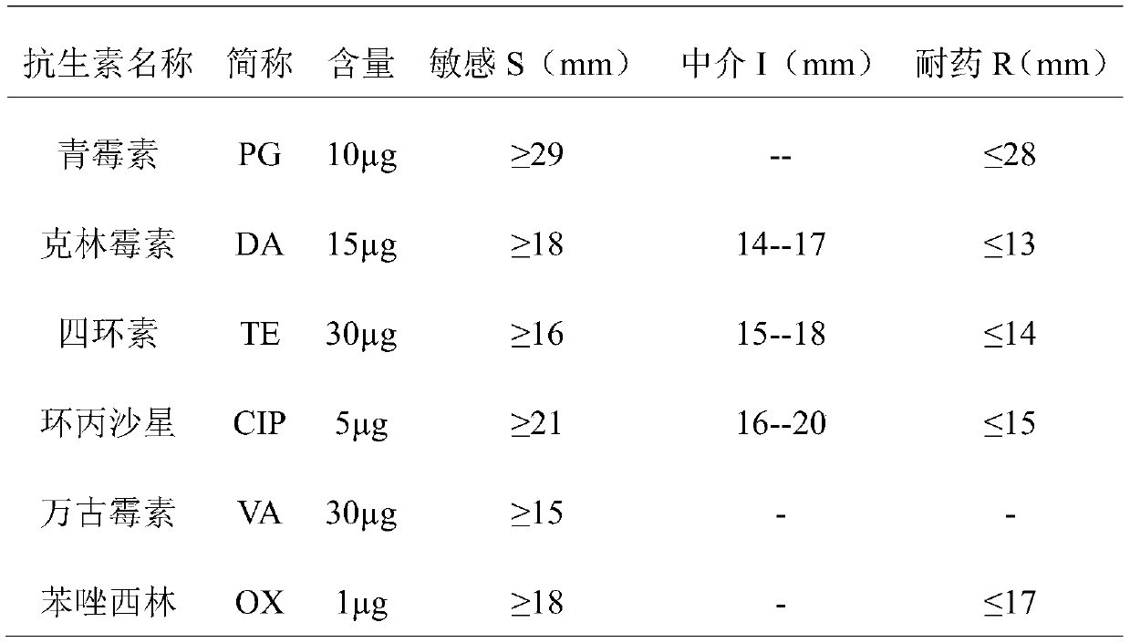 Application of sanguinarine to restraining growth of staphylococcus lugdunensis