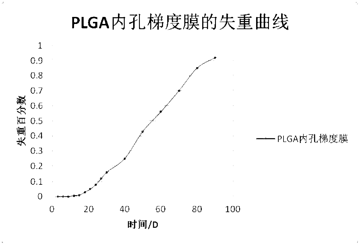 Controllably biodegradable poly(lactic-co-glycolic acid) (PLGA) bore gradient membrane and preparation process thereof