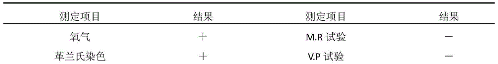 17 beta-estradiol degrading strain and application thereof