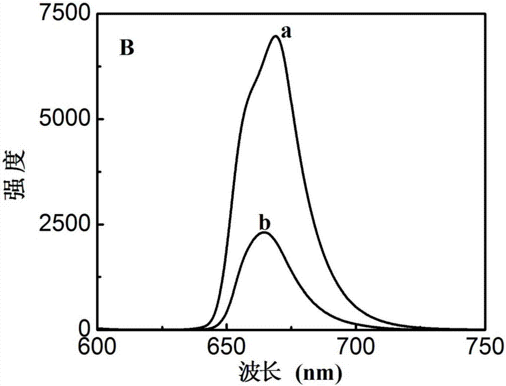 Citrate modified up-conversion luminescent nano material and preparation method thereof, hydrogen peroxide or uric acid detection method and applications