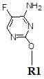 5-fluorocytosine derivative, its preparation method and its application in 5-fluorocytosine immunoassay reagent