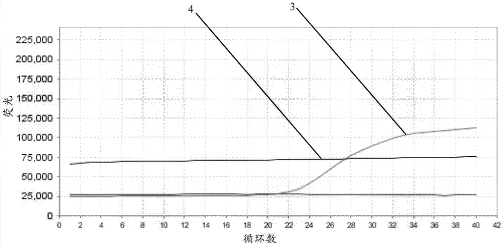 Spinal muscular atrophy-related gene mutation detection method, related detection probe composition and detection kit as well as related application