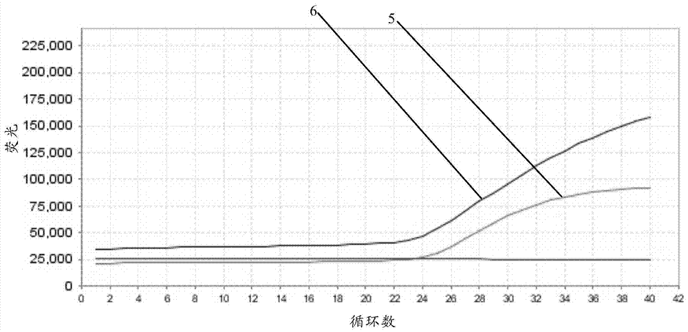 Spinal muscular atrophy-related gene mutation detection method, related detection probe composition and detection kit as well as related application