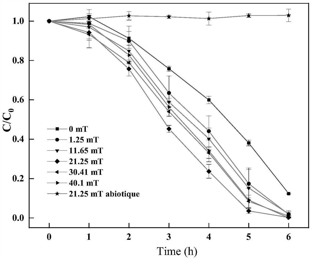 Method for enhancing anaerobic biodegradation of halogenated phenol by static magnetic field