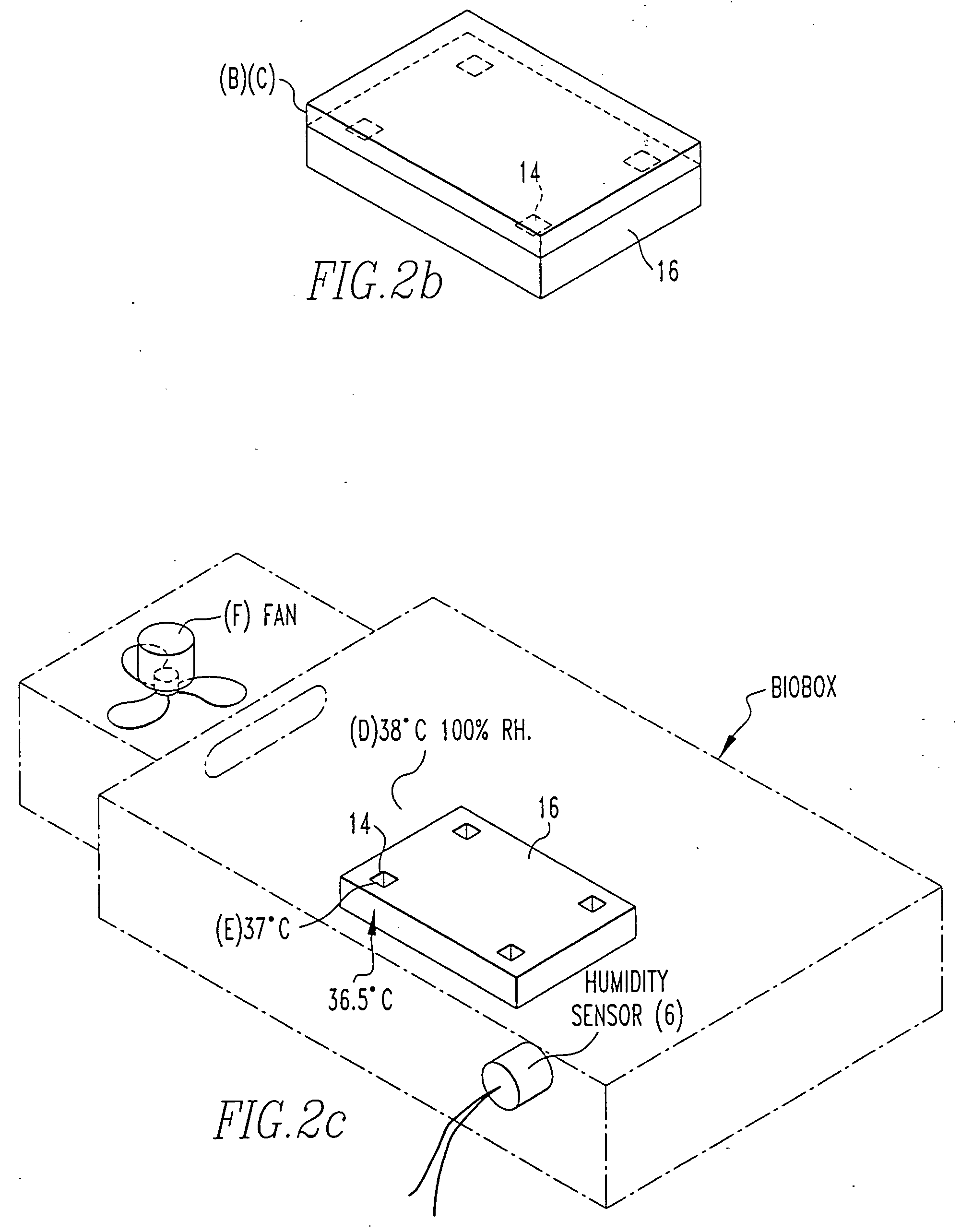 Method and apparatus for monitoring of proteins and cells