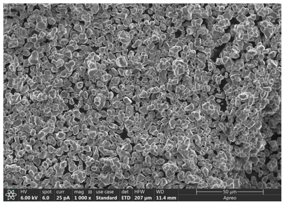 Layered quaternary cobalt-free single crystal precursor and preparation method of positive electrode material
