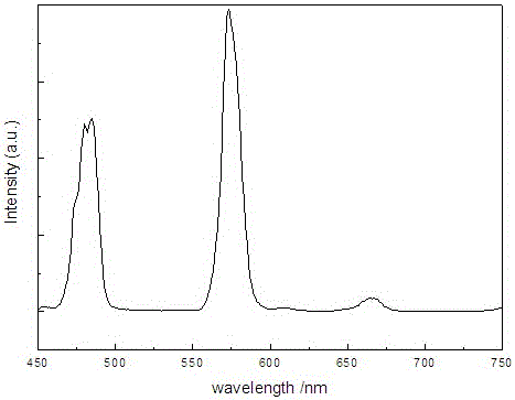 Dysprosium-ion-doped yttrium-barium phosphate fluorescent powder and preparation method thereof