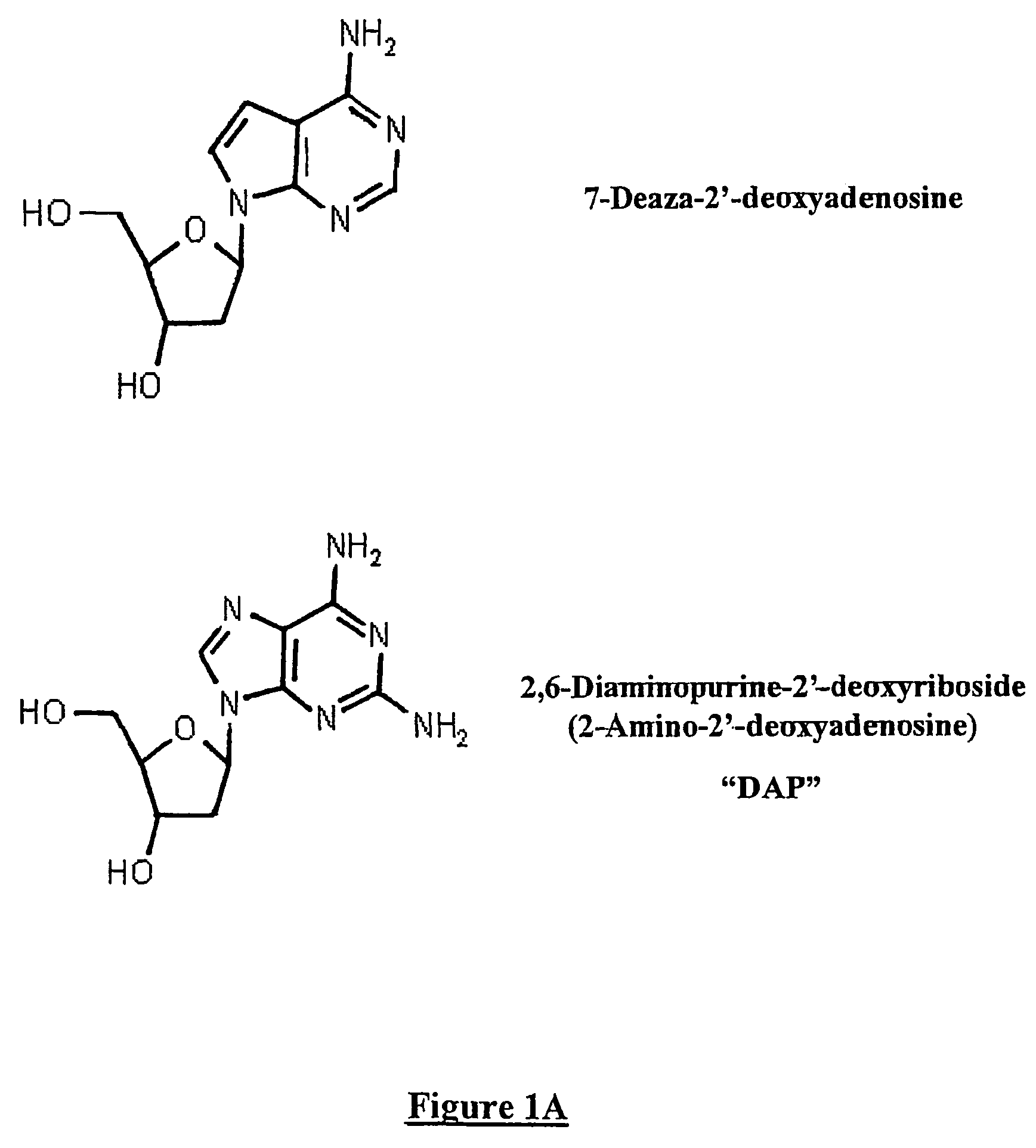 Methods for increasing in vivo efficacy of oligonucleotides and inhibiting inflammation in mammals