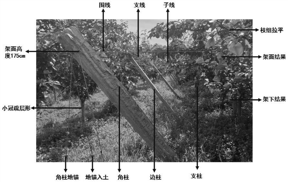 Methods and application of improving fruit setting rate, fruit quality and field yield of Eli No. 2