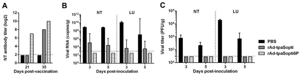 Novel coronavirus pneumonia recombinant human type 5 adenovirus vaccine