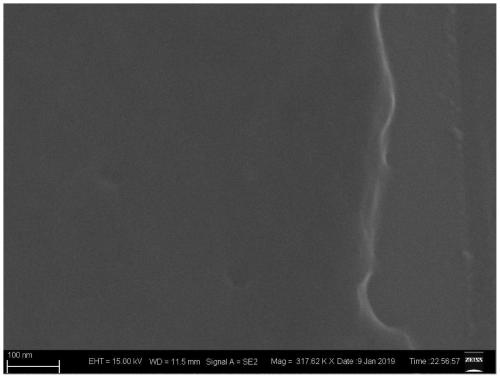 Preparation method and applications of support-free Janus monomolecular layer protein membrane material with adjustable membrane flux