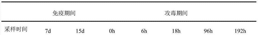 A kind of bacillus pumilus strain and its application