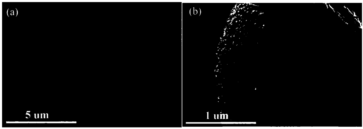 Method for preparing titanium dioxide quantum dots by ultrasonication
