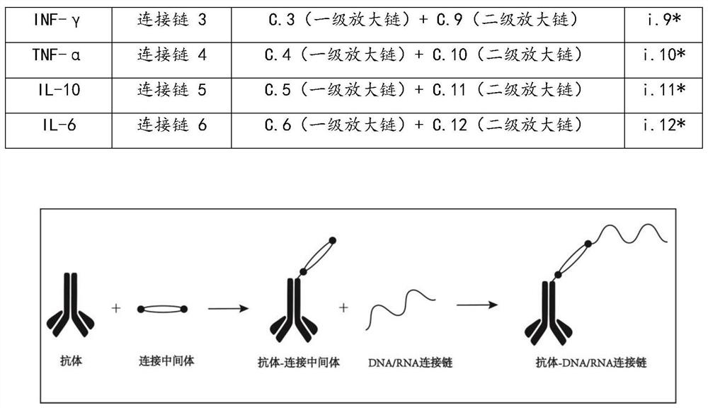 Multiple signal amplification system and application thereof in immunospot detection