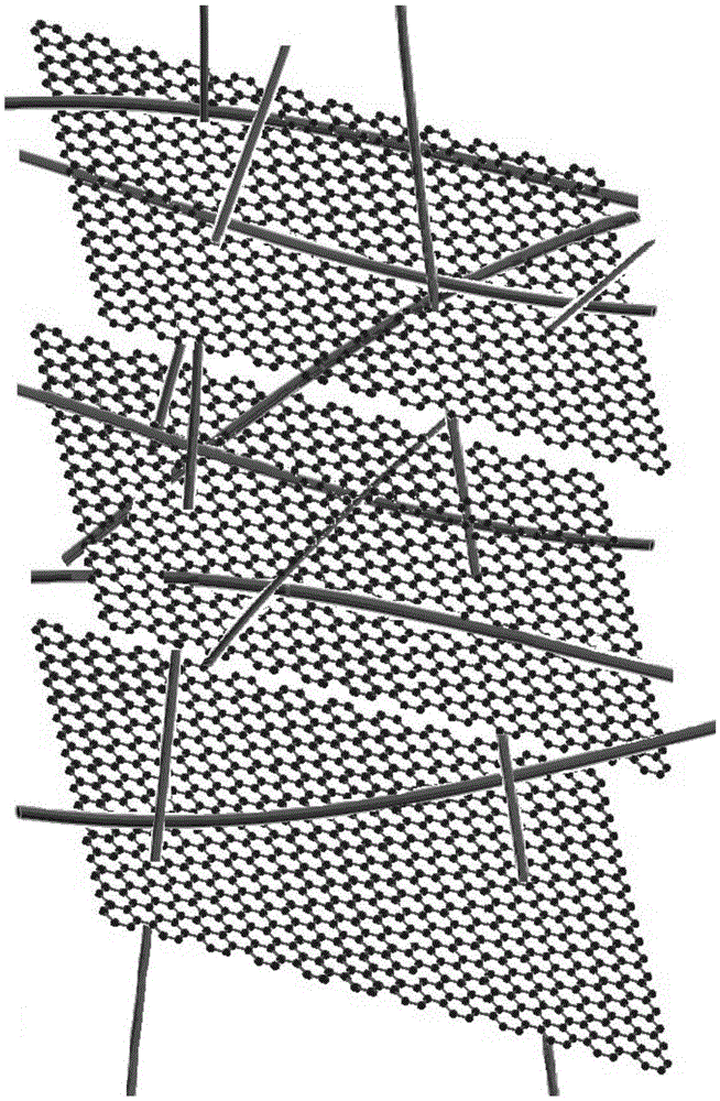 Polyamide6-graphene quantum dot/carbon nanotube anti-static fiber and preparation