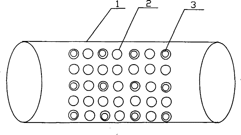 Living blowfish transportation device and preparing method