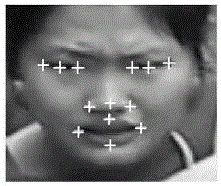 Face alignment method