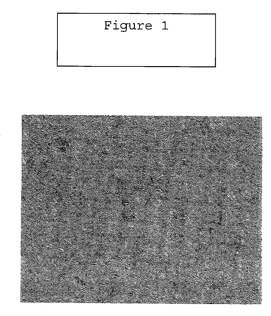 Methods of Use of Biomaterial and Injectable Implant Containing Biomaterial